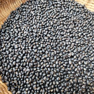 Trà Gạo lứt đậu đen FREESHIPmix Đậu đỏ, Hoa nhài, Lá dứa [DETOX GIẢM CÂN] / Trà Rang Tay Sẵn Cực Thơm Ngon
