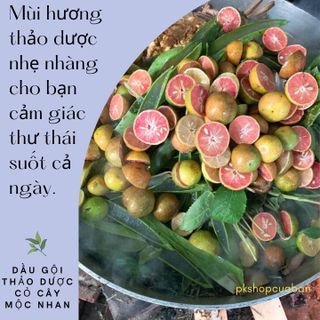[Hiệu Quả 100%] Dầu Gội Thảo Dược Mộc Nhan T.rị Rụng Tóc - T.rị Gàu - Giúp Đen Tóc