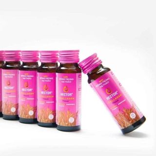 Đông trùng hạ thảo Hector collagen