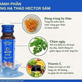 Đông trùng hạ thảo Hector sâm