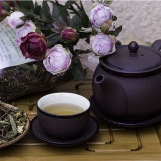 TRÀ SƠN MẬT HỒNG SÂM