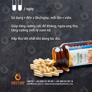 Đông trùng hạ thảo Hector viên nang