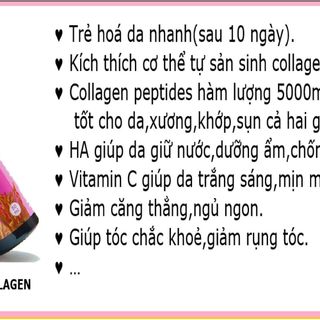 Đông trùng hạ thảo Hector collagen