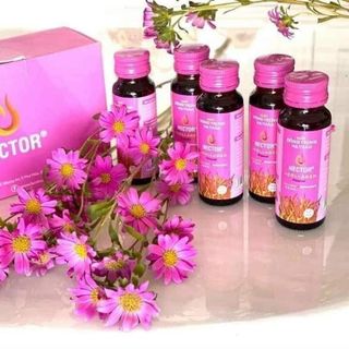 Đông trùng hạ thảo Hector collagen
