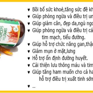 Đông trùng hạ thảo sấy thăng hoa Hector