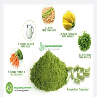 Bột chùm ngây sấy lạnh
