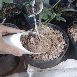 3.5kg XỈ THAN TỔ ONG ( Đã qua xử lý)