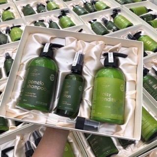 Combo vijuly 100% mẫu mới nhất