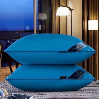 Ruột gối đầu cao cấp Pillow Hilton Ép Hơi, Có Khoá Kéo - Nhiều Màu Tiêu Chuẩn 5* - Kích Thước 45x65cm