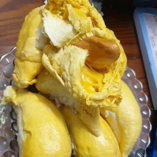 Sầu Riêng RI6