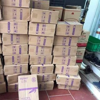 Giấy gấu trúc