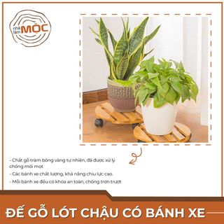 Đế gỗ lót chậu cây có bánh xe di chuyển