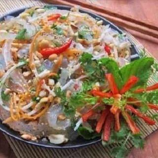 Sứa biển