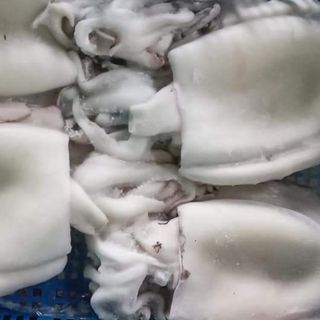 Mực nang (mực mai) to làm sạch - size từ 500g - 1kg/con. Hàng đủ cân. Giá đẹp cho sỉ