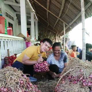hành tím