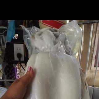Mực nang (mực mai) to làm sạch - size từ 500g - 1kg/con. Hàng đủ cân. Giá đẹp cho sỉ