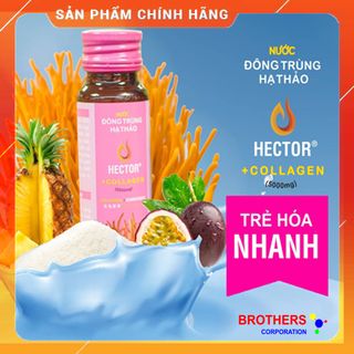 Nước đông trùng hạ thảo Hector Collagen (Hộp 10 chai 50ml)
