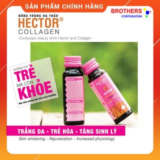 Nước đông trùng hạ thảo Hector Collagen (Hộp 10 chai 50ml)