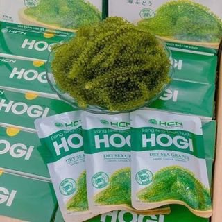 Rong nho HoGi