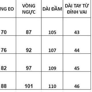 Đầm thiết kế cao cấp