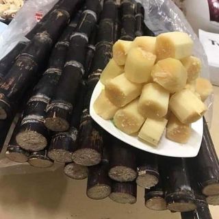 Mía đông lạnh xuất khẩu - Mía trắng - Mía tím