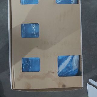 CÁ SAPA Nhật size 200/300 - chuyên cung cấp sỉ toàn quốc.
