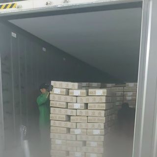 CÁ SAPA Nhật size 200/300 - chuyên cung cấp sỉ toàn quốc.