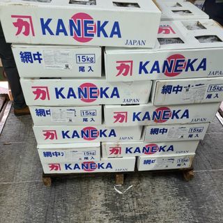 SAPA NHẬT SIZE 100/200 - CHUYÊN CUNG CẤP SỈ TÒA QUỐC