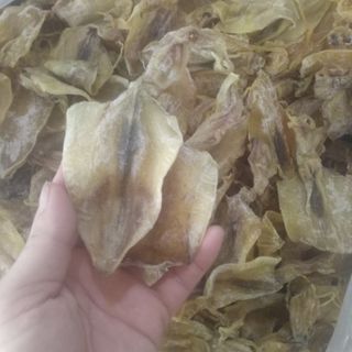 Mực câu mini Nghệ An