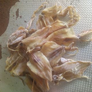 Mực câu mini Nghệ An