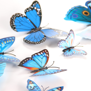 Bộ 12 bướm 3D trang trí