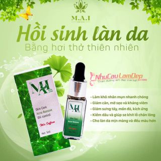 Mai thảo mọc trị mụn