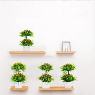 Chậu nhựa tròn hai tầng Vạn Phát trắng R22*c20 cm