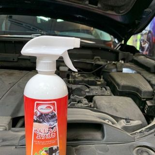 Dung dịch tẩy rửa đa năng Auora