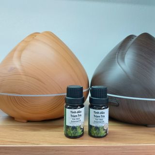 Tinh dầu Khuynh Diệp giá sỉ tại hà nội, bán tinh dầu khuynh diệp giá rẻ, tinh dầu eslife