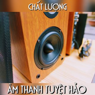 Loa vi tính kiểm âm cao cấp Lohao AV 8219
