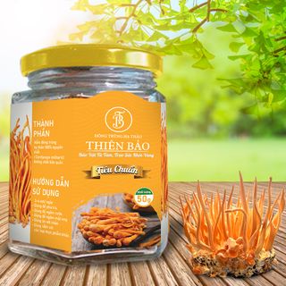 Đông trùng hạ thảo sấy thăng hoa loại tiêu chuẩn 50gr giá sỉ