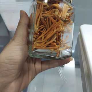 Đông trùng hạ thảo loại tiêu chuẩn lọ 10gr