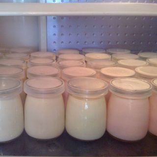 Hũ Sữa Chua 100ml, Hủ Thủy Tinh Làm Sữa Chua, Yaourt, Bánh Flan