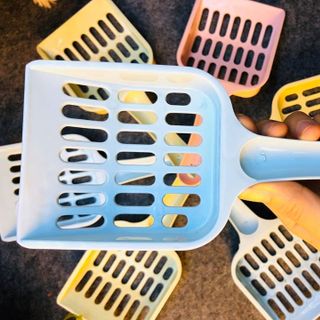 XẺN RAY CÁT MÈO