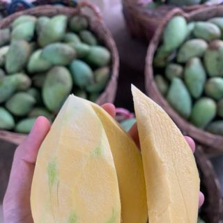 Sỉ lẻ các loại xoài