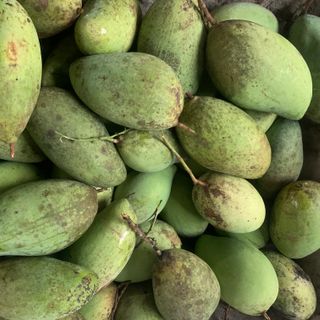 Sỉ lẻ các loại xoài