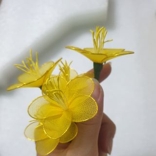 Hoa mai bằng vải voan 100bong