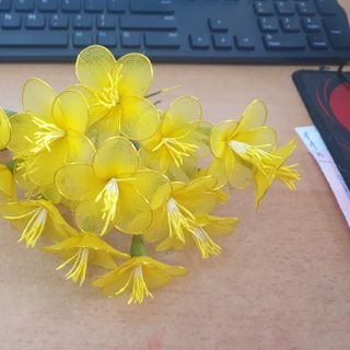 Hoa mai bằng vải voan 100bong