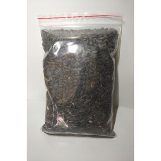 1kg Hướng Dương Nga Đen Nhỏ - Giá rẻ cho Chim, Hamster, Vẹt, Sóc