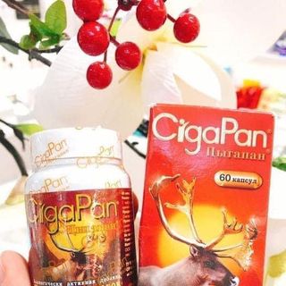 nhung hươu nga cigapan