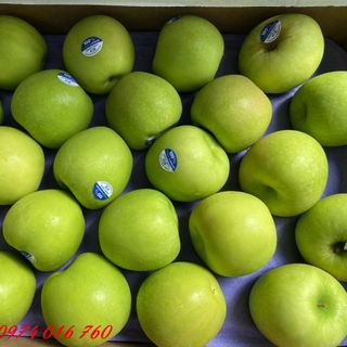 Táo Xanh GS NZ ( Thùng 18kg)