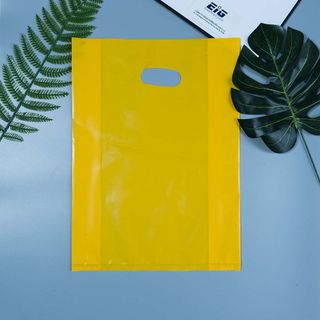 Túi Hột Xoài PE EIG