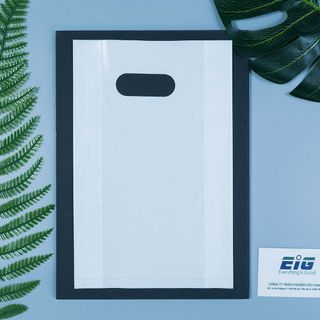 Túi Hột Xoài PE EIG