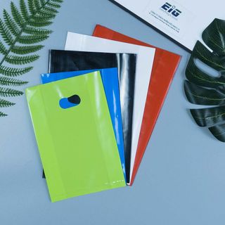 Túi Hột Xoài PE EIG